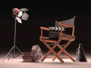 影視文化公司的經營范圍 聚焦影視傳媒技術開發